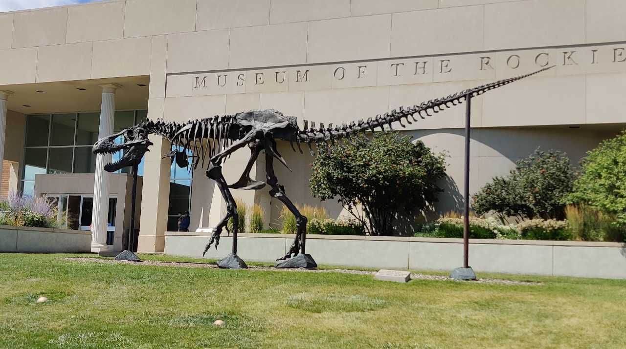 Bronce replica of a Tyrannosaurus rex skeleton,  MOR 555, also known as "Wankel's Rex" outside of the Museum of the Rockies 
