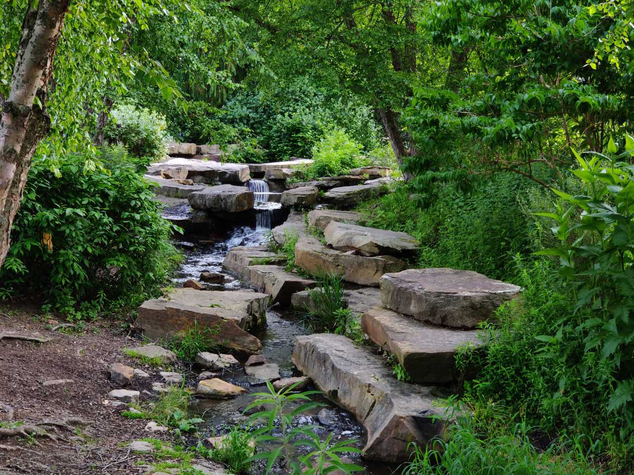 Waterfall at Cox Arboretum
