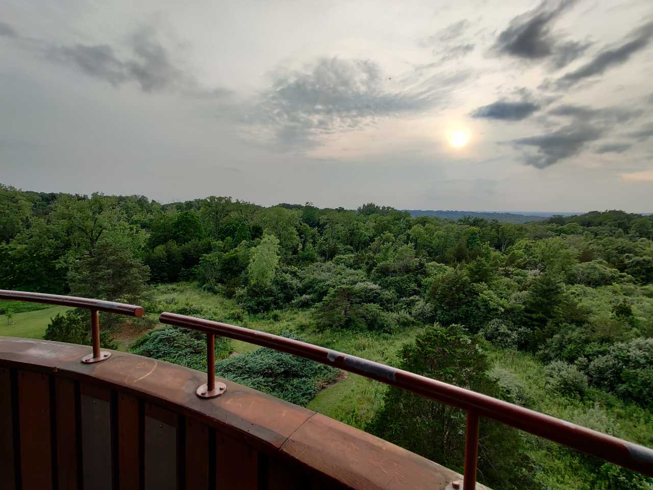 View from the Tree Tower at Cox Arboretum