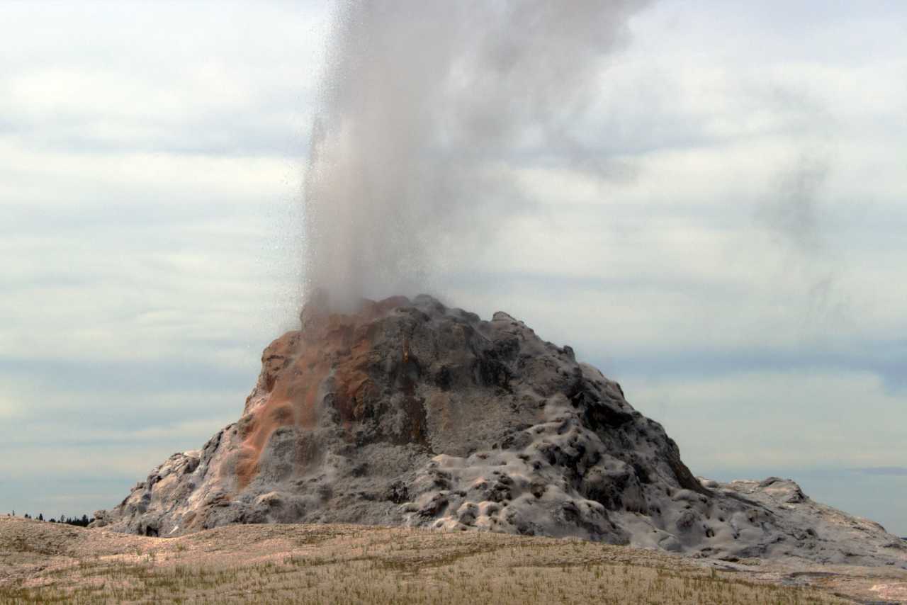 White Dome Geyser in Yellowstone National Park