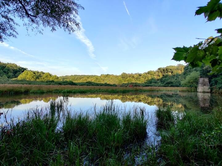 Pond in West Virginia Botanic Gardens